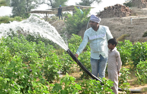 solar water pump